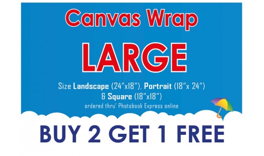 0623-188 Gallery Canvas Wrap (Large) 2+1