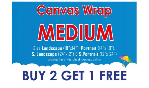 0623-148 Gallery Canvas Wrap (Medium) 2+1