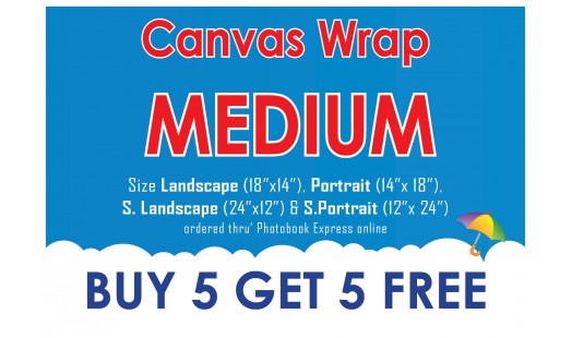0623-148 Gallery Canvas Wrap (Medium) 5+5