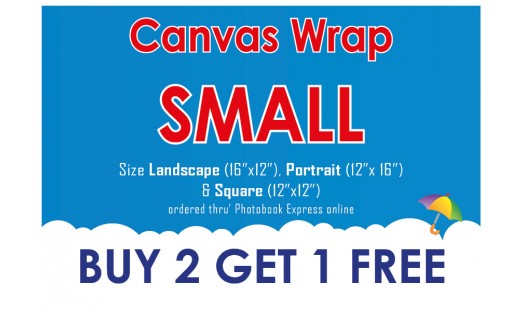 0623-98 Gallery Canvas Wrap (Small) 2+1