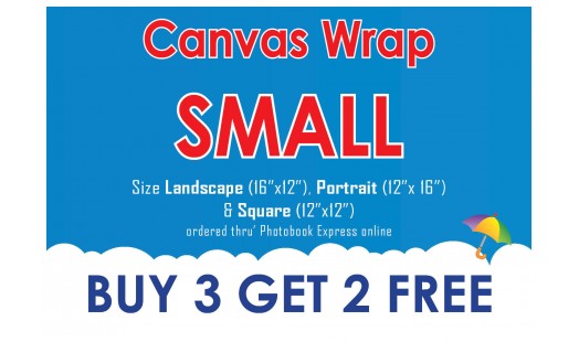 0623-98 Gallery Canvas Wrap (Small) 3+2
