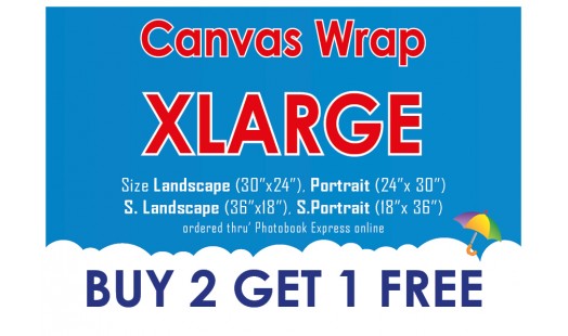 0623-278 Gallery Canvas Wrap (XL) 2+1