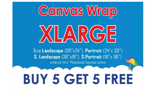 0623-278 Gallery Canvas Wrap (XL) 5+5