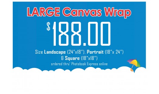0623-188 Gallery Canvas Wrap (Large)