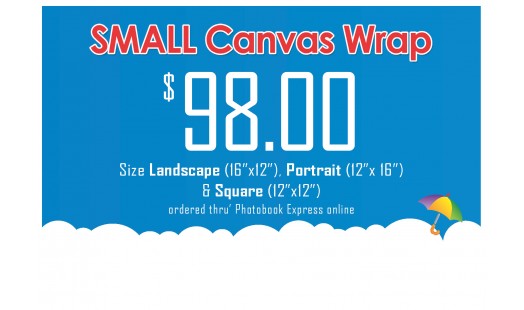 0623-98 Gallery Canvas Wrap (Small)